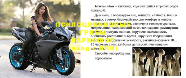 мяу мяу мука Белоозёрский