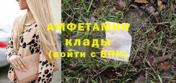 spice Богородицк